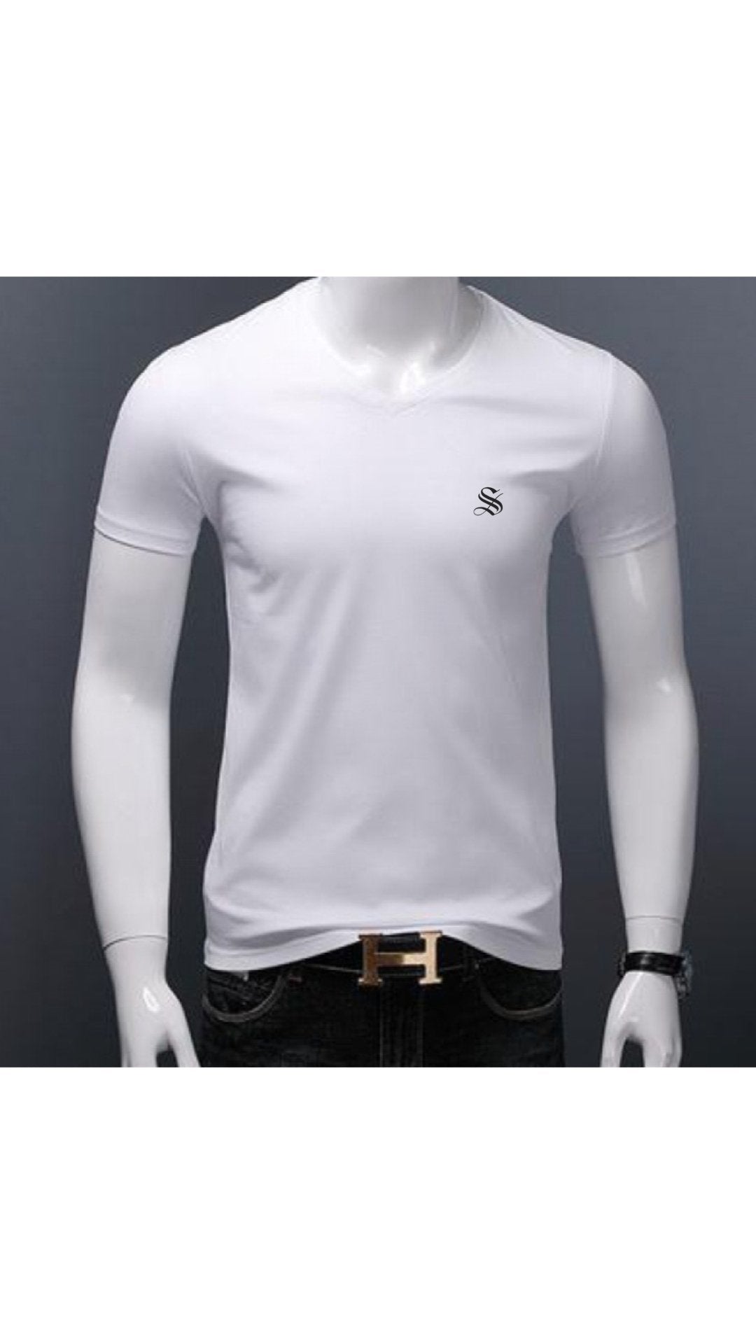 Baok 3 - V - Neck T-Shirt for Men - Sarman Fashion - Wholesale Clothing Fashion Brand for Men from Canada