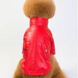 BigMobster 2 - Dog’s Pu Leather Jacket - Sarman Fashion - Wholesale Clothing Fashion Brand for Men from Canada