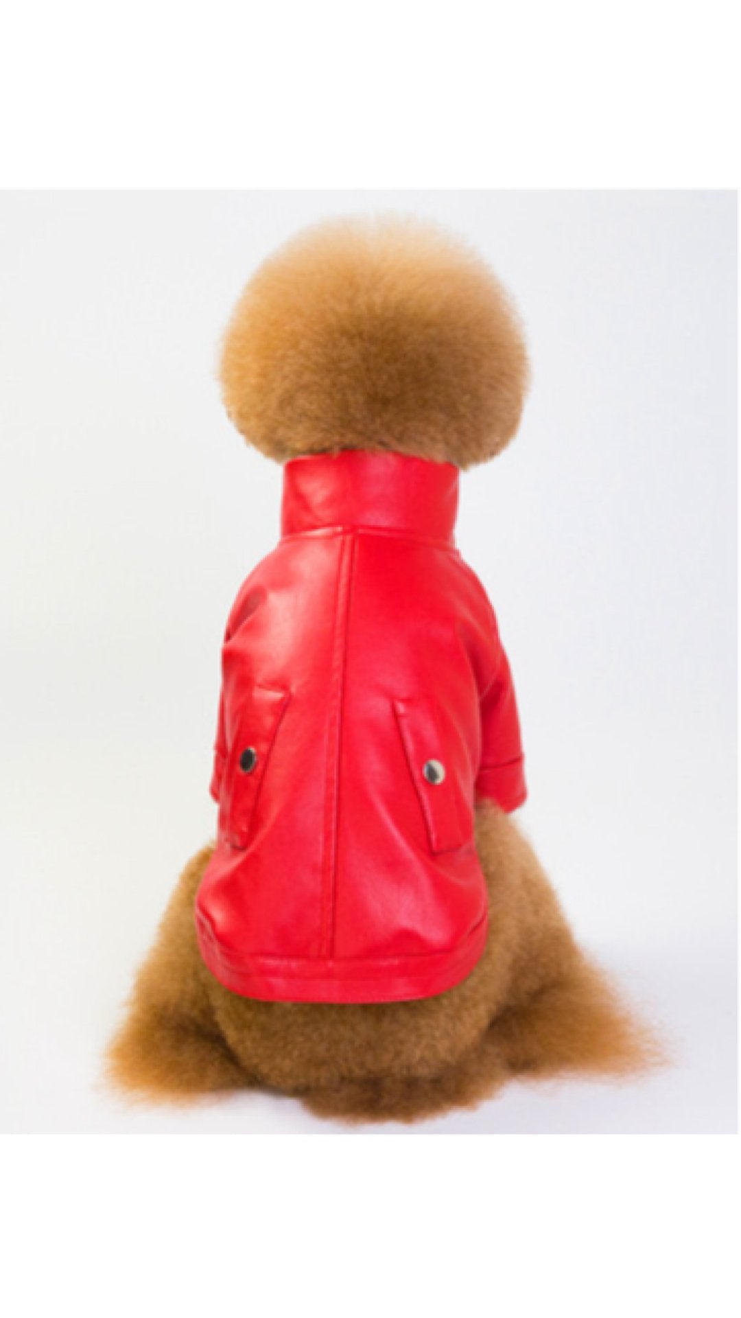 BigMobster 2 - Dog’s Pu Leather Jacket - Sarman Fashion - Wholesale Clothing Fashion Brand for Men from Canada