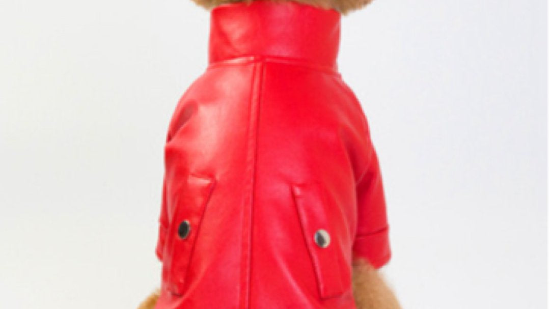 BigMobster 2 - Dog’s Pu Leather Jacket - Sarman Fashion - Wholesale Clothing Fashion Brand for Men from Canada