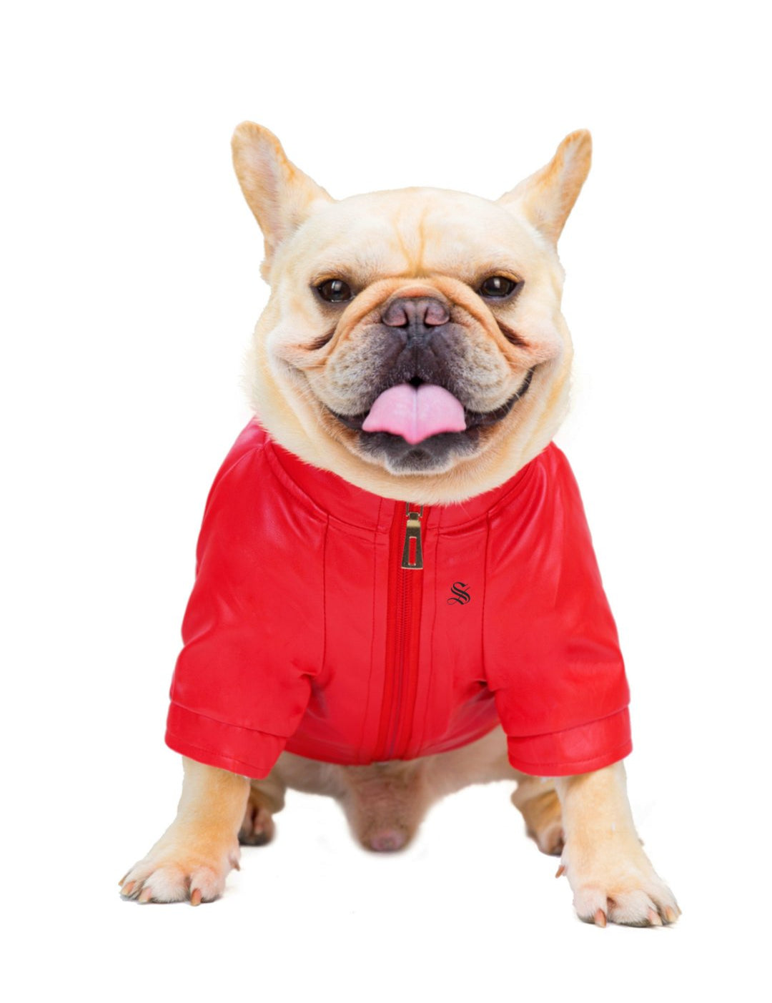 BigMobster 2 - Dog’s Pu Leather Jacket - Sarman Fashion - Wholesale Clothing Fashion Brand for Men from Canada