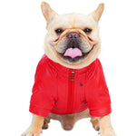 BigMobster 2 - Dog’s Pu Leather Jacket - Sarman Fashion - Wholesale Clothing Fashion Brand for Men from Canada