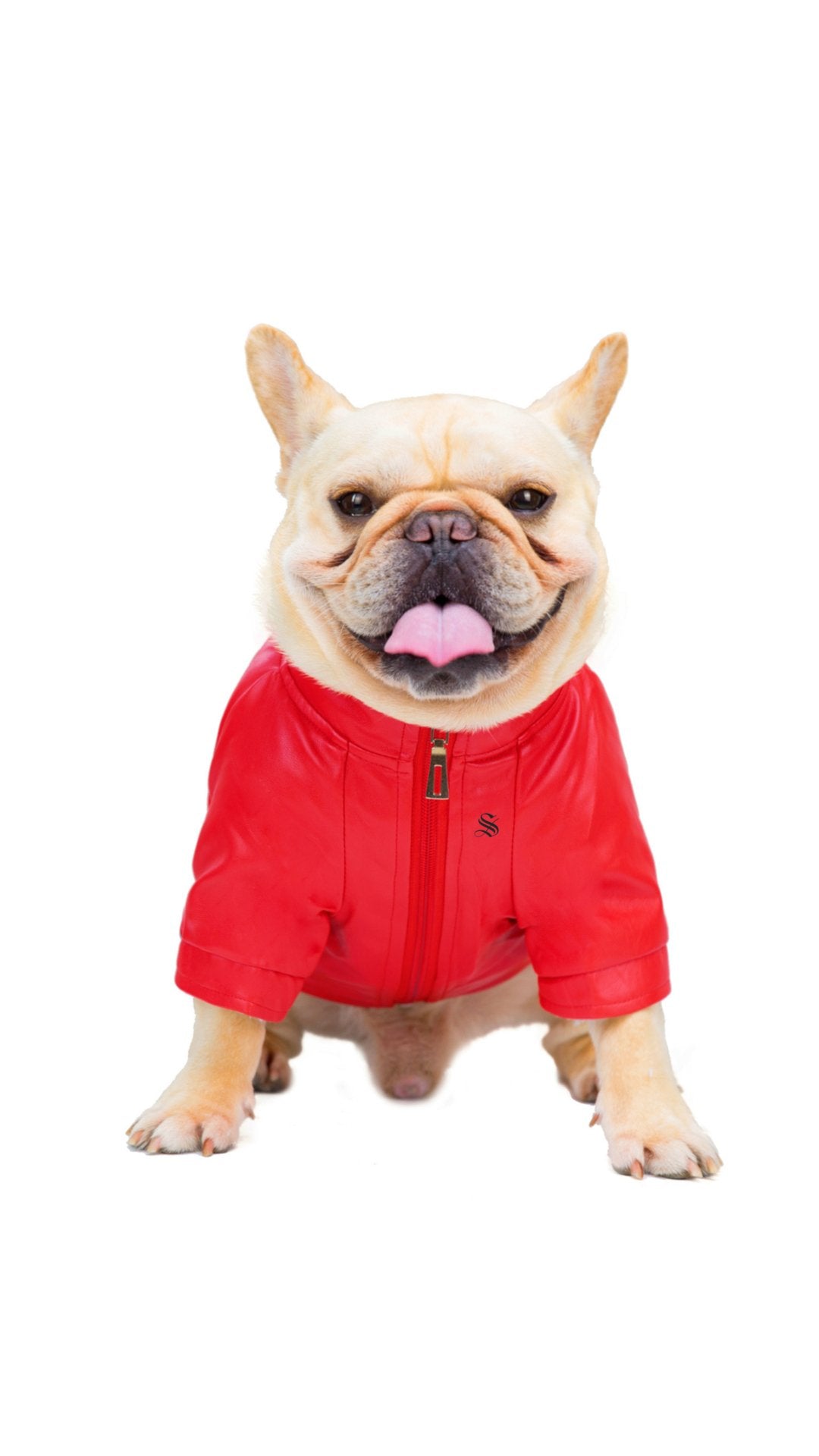 BigMobster 2 - Dog’s Pu Leather Jacket - Sarman Fashion - Wholesale Clothing Fashion Brand for Men from Canada