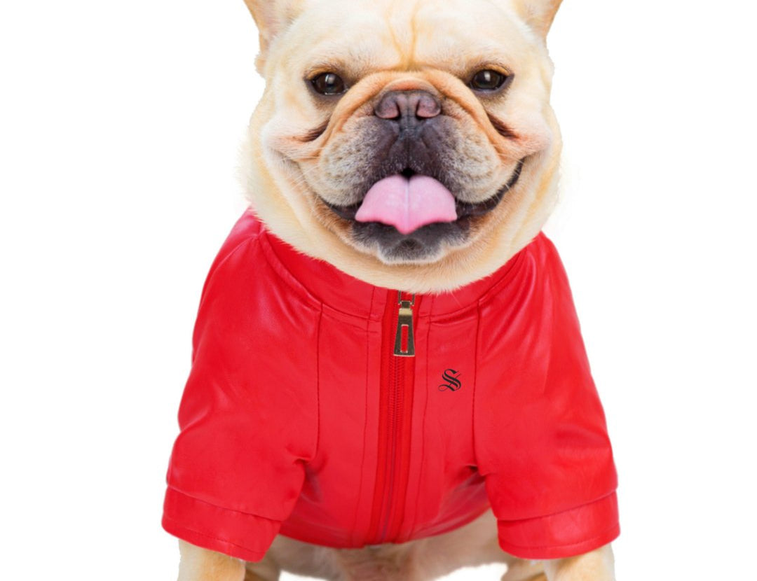 BigMobster 2 - Dog’s Pu Leather Jacket - Sarman Fashion - Wholesale Clothing Fashion Brand for Men from Canada
