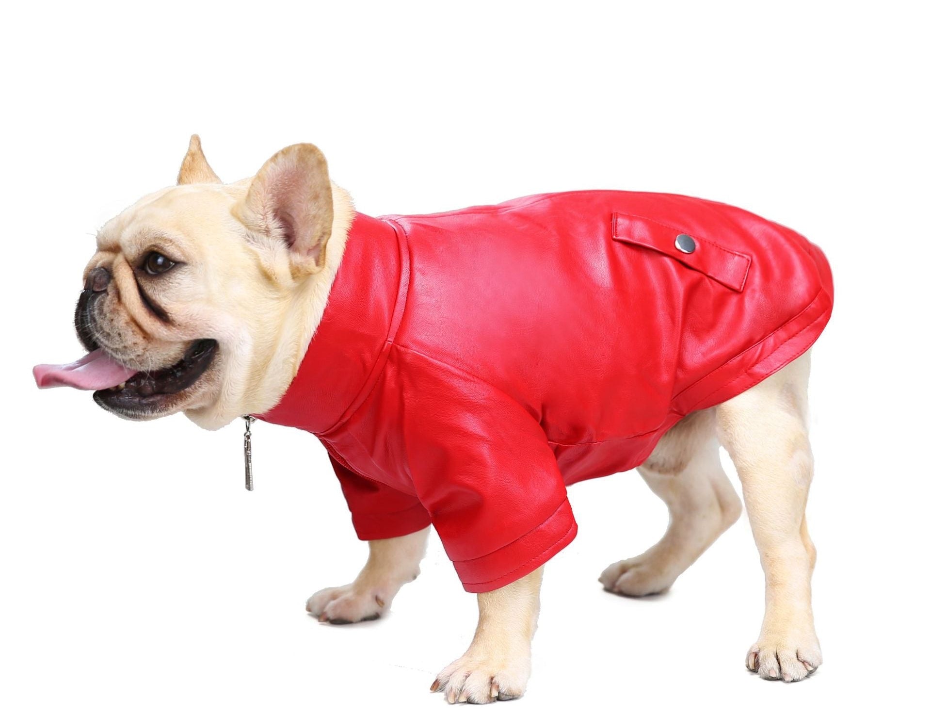 BigMobster 2 - Dog’s Pu Leather Jacket - Sarman Fashion - Wholesale Clothing Fashion Brand for Men from Canada