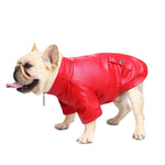 BigMobster 2 - Dog’s Pu Leather Jacket - Sarman Fashion - Wholesale Clothing Fashion Brand for Men from Canada