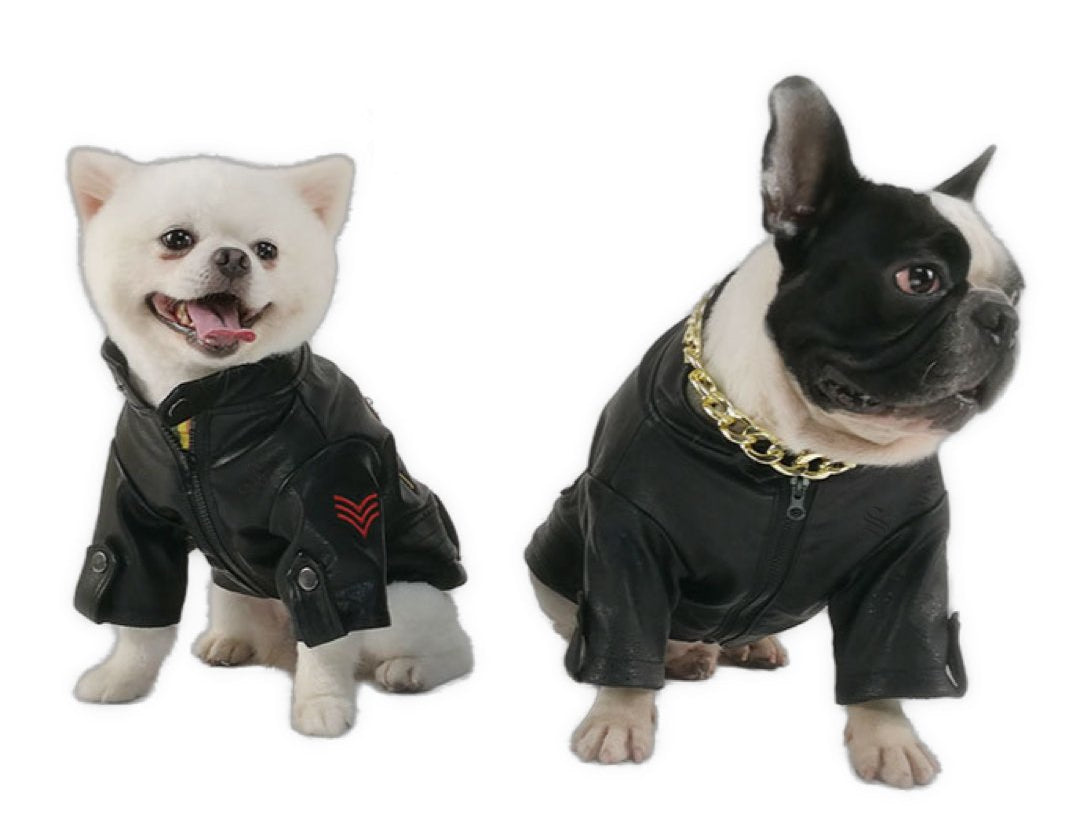 BigMobster 3 - Dog’s Pu Leather Jacket - Sarman Fashion - Wholesale Clothing Fashion Brand for Men from Canada