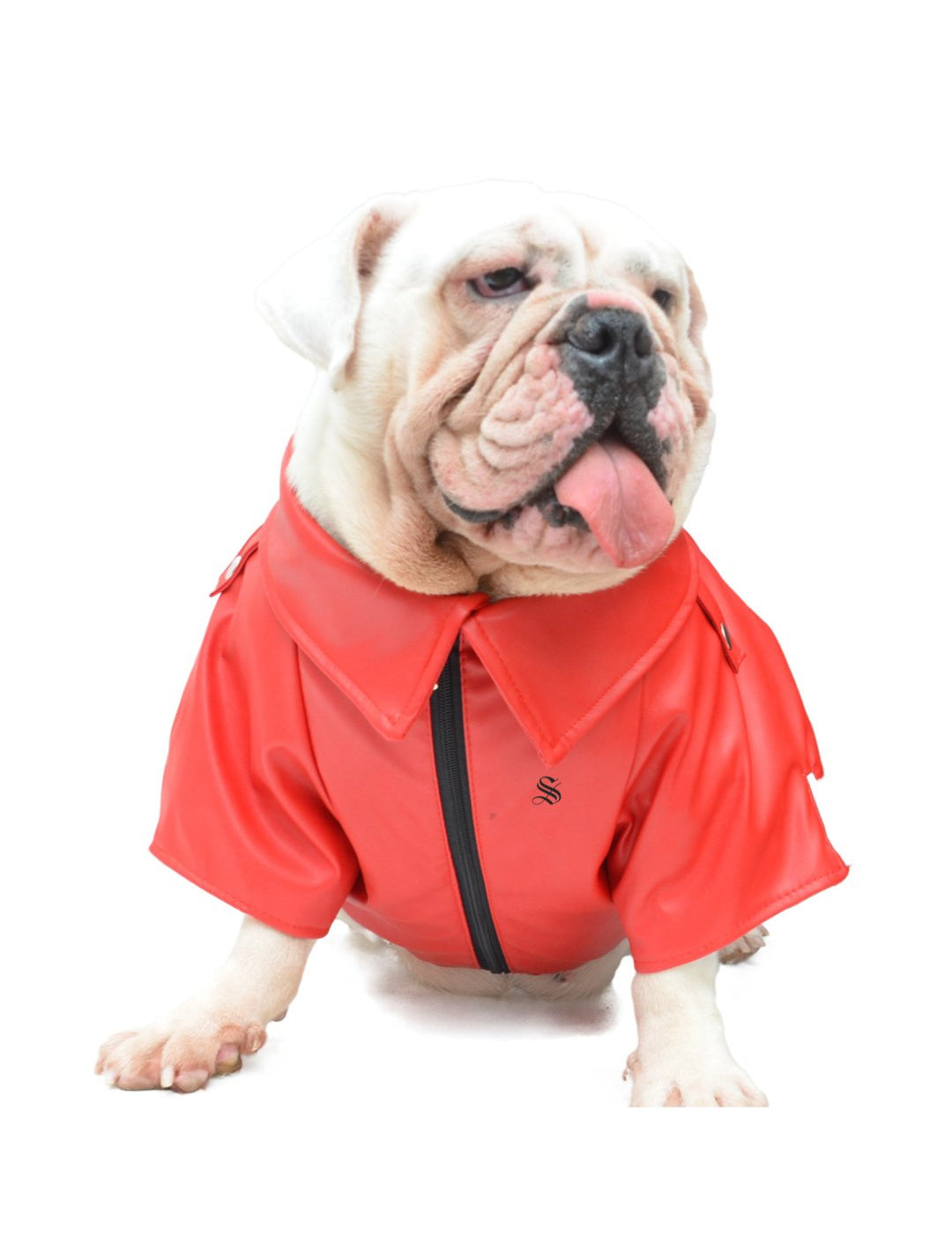 BigMobster 4 - Dog’s Pu Leather Jacket - Sarman Fashion - Wholesale Clothing Fashion Brand for Men from Canada