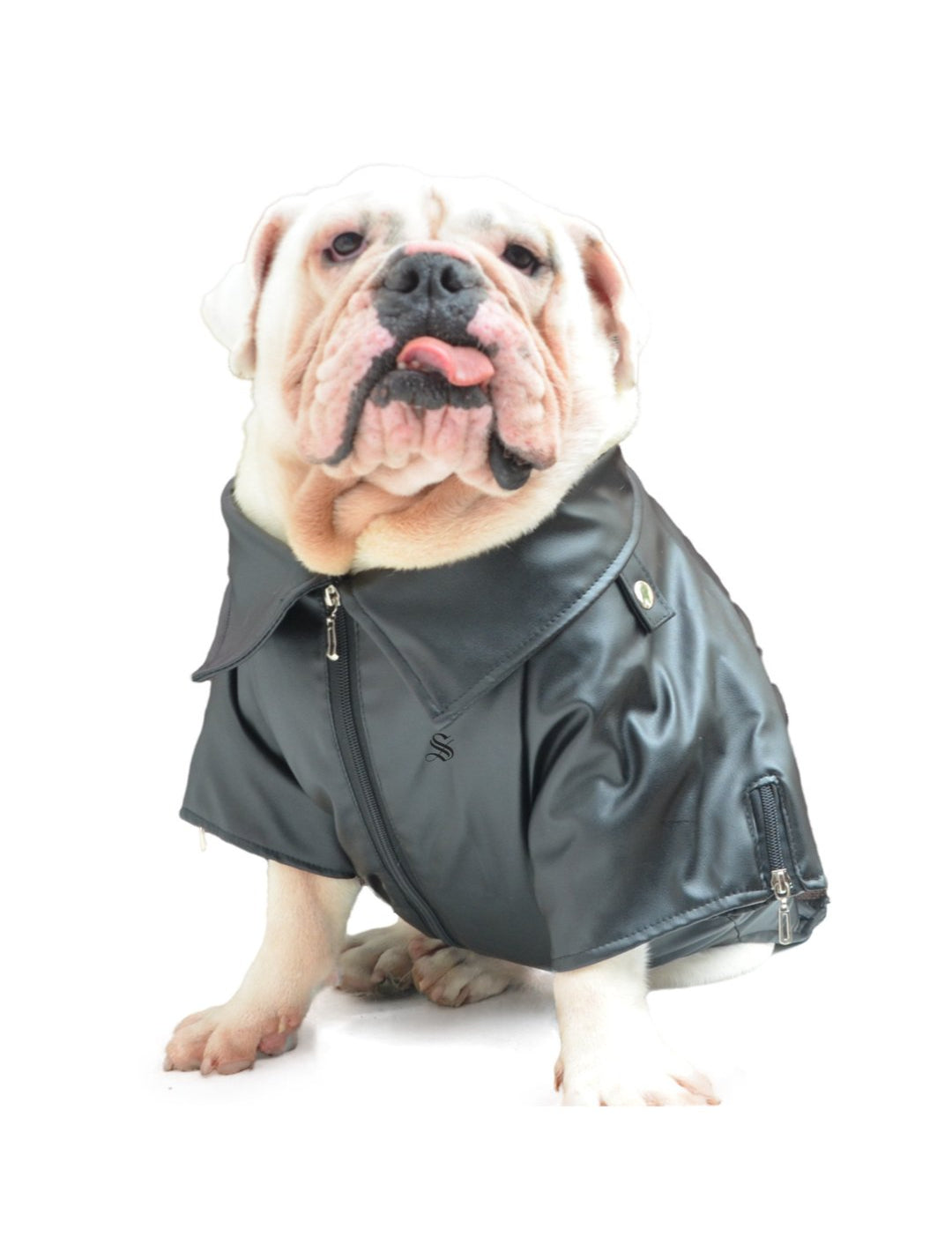 BigMobster 4 - Dog’s Pu Leather Jacket - Sarman Fashion - Wholesale Clothing Fashion Brand for Men from Canada