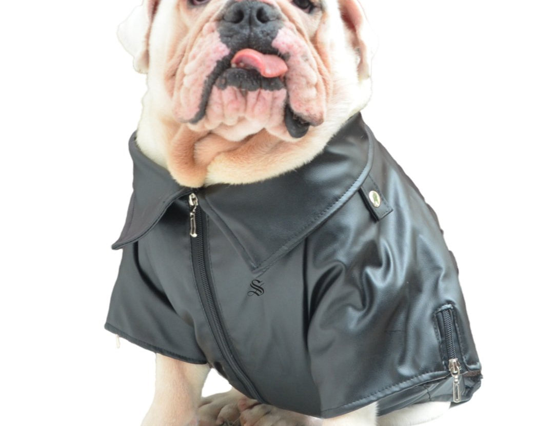 BigMobster 4 - Dog’s Pu Leather Jacket - Sarman Fashion - Wholesale Clothing Fashion Brand for Men from Canada