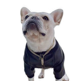 BigMobster - Dog’s Pu Leather Jacket - Sarman Fashion - Wholesale Clothing Fashion Brand for Men from Canada