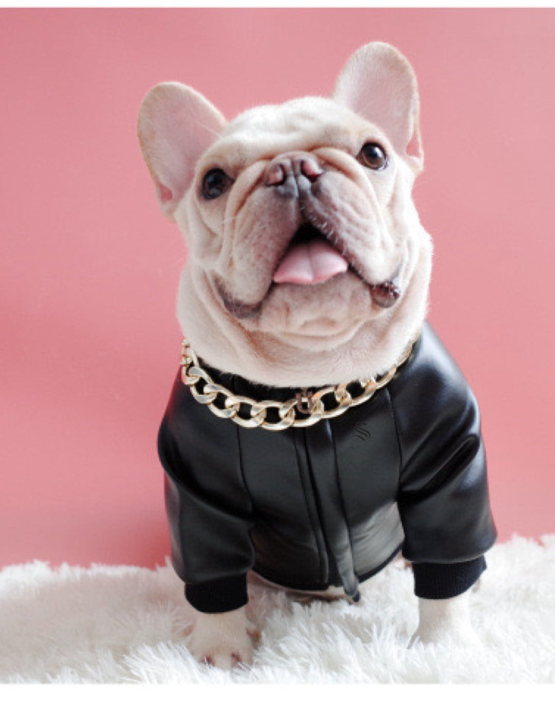 BigMobster - Dog’s Pu Leather Jacket - Sarman Fashion - Wholesale Clothing Fashion Brand for Men from Canada