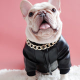 BigMobster - Dog’s Pu Leather Jacket - Sarman Fashion - Wholesale Clothing Fashion Brand for Men from Canada