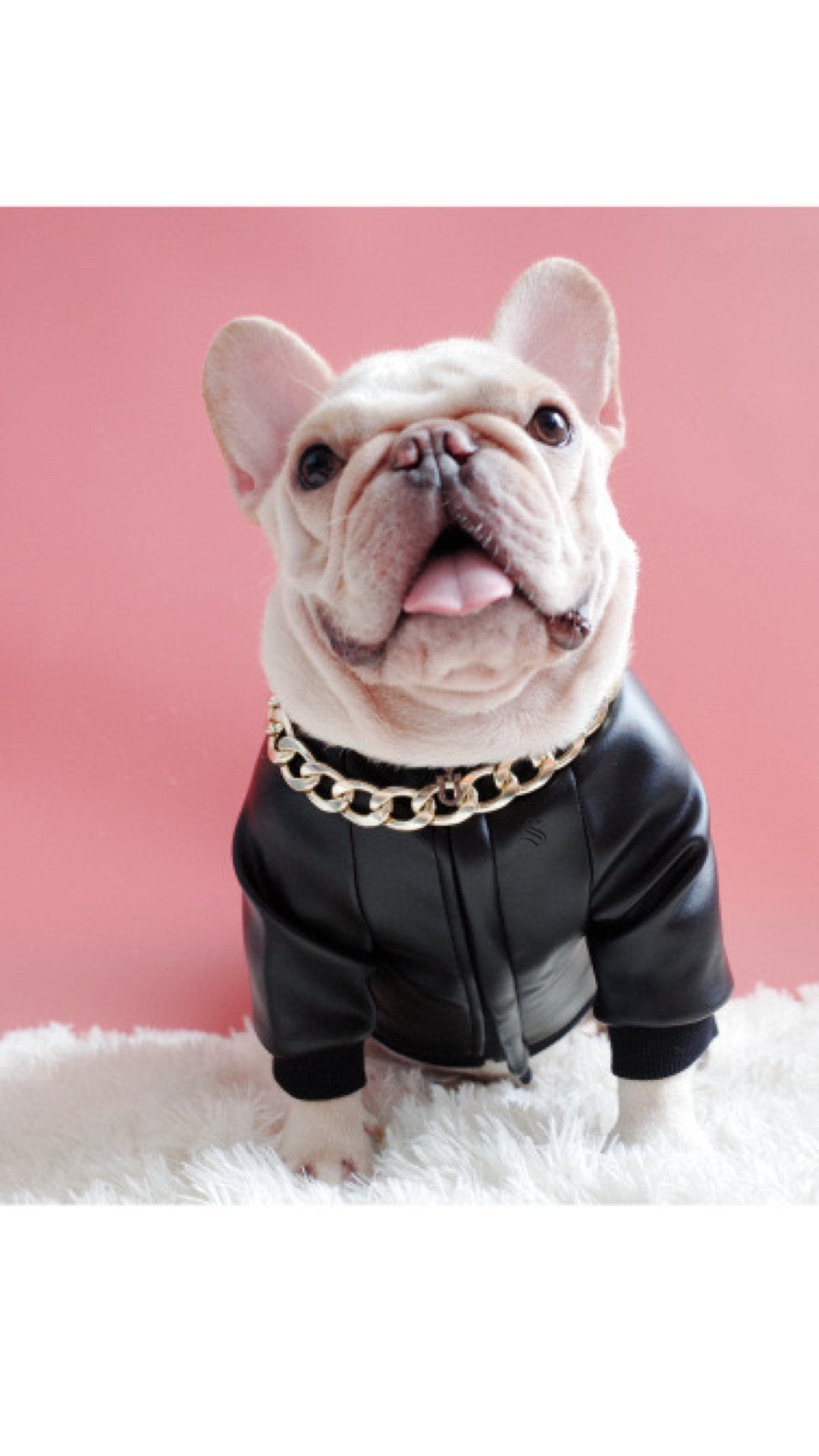 BigMobster - Dog’s Pu Leather Jacket - Sarman Fashion - Wholesale Clothing Fashion Brand for Men from Canada