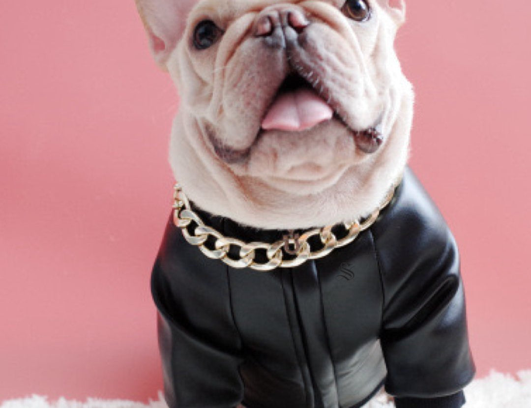 BigMobster - Dog’s Pu Leather Jacket - Sarman Fashion - Wholesale Clothing Fashion Brand for Men from Canada