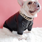 BigMobster - Dog’s Pu Leather Jacket - Sarman Fashion - Wholesale Clothing Fashion Brand for Men from Canada