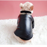 BigMobster - Dog’s Pu Leather Jacket - Sarman Fashion - Wholesale Clothing Fashion Brand for Men from Canada