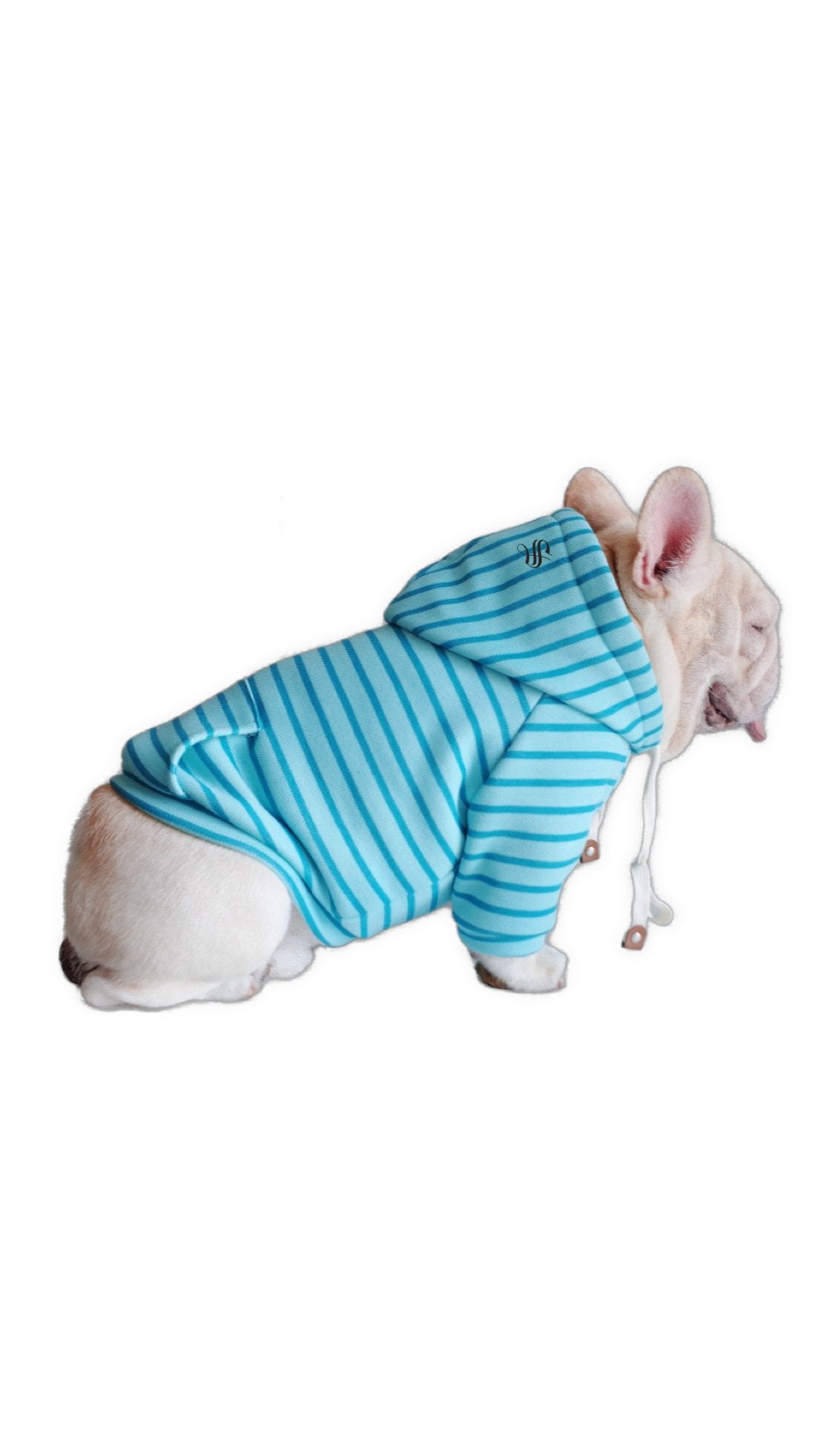 BlueJames - Dog Hoodie - Sarman Fashion - Wholesale Clothing Fashion Brand for Men from Canada