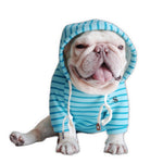 BlueJames - Dog Hoodie - Sarman Fashion - Wholesale Clothing Fashion Brand for Men from Canada