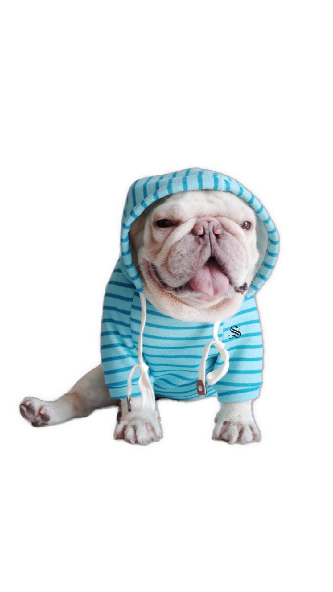 BlueJames - Dog Hoodie - Sarman Fashion - Wholesale Clothing Fashion Brand for Men from Canada