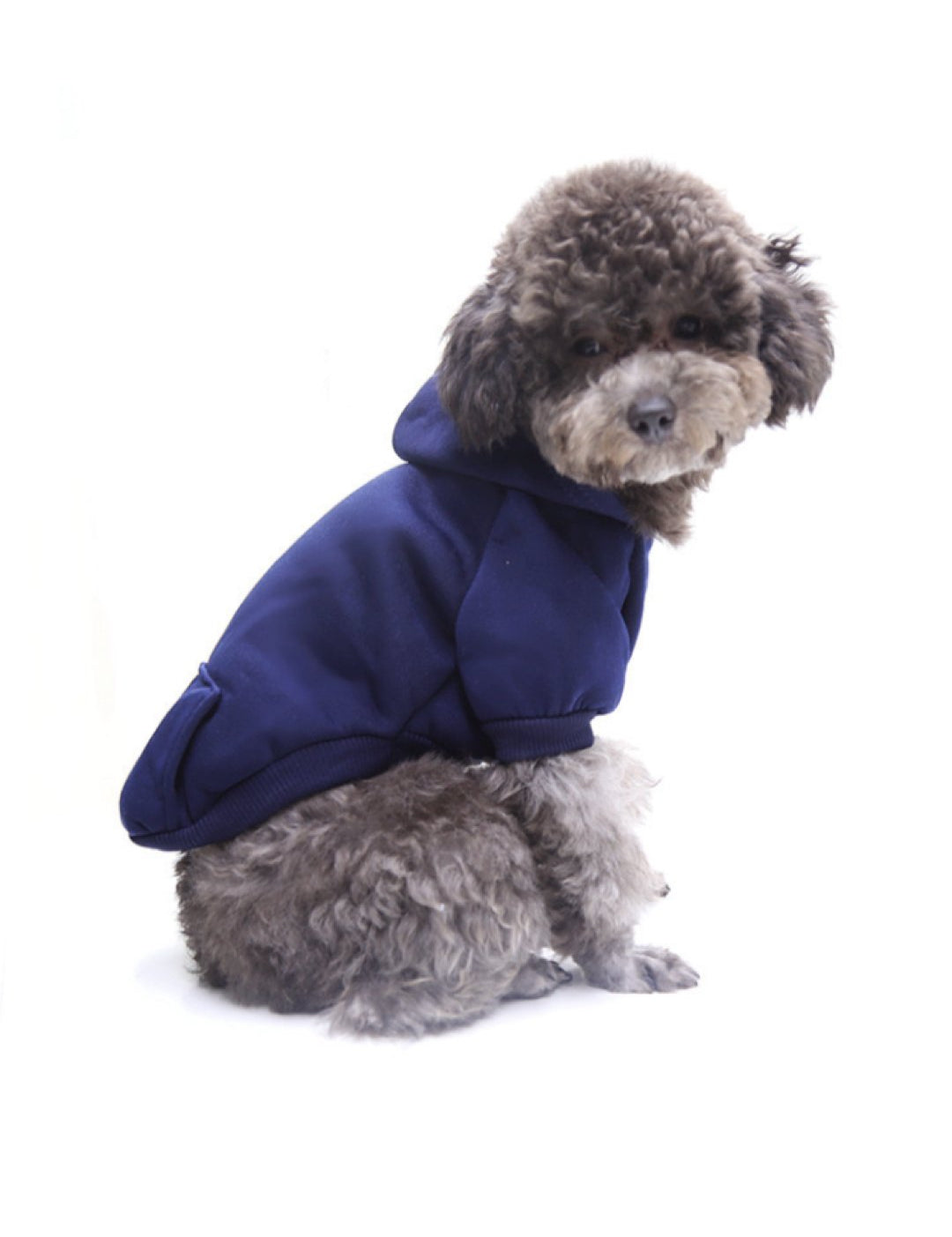 Gucu - Dog Hoodie - Sarman Fashion - Wholesale Clothing Fashion Brand for Men from Canada