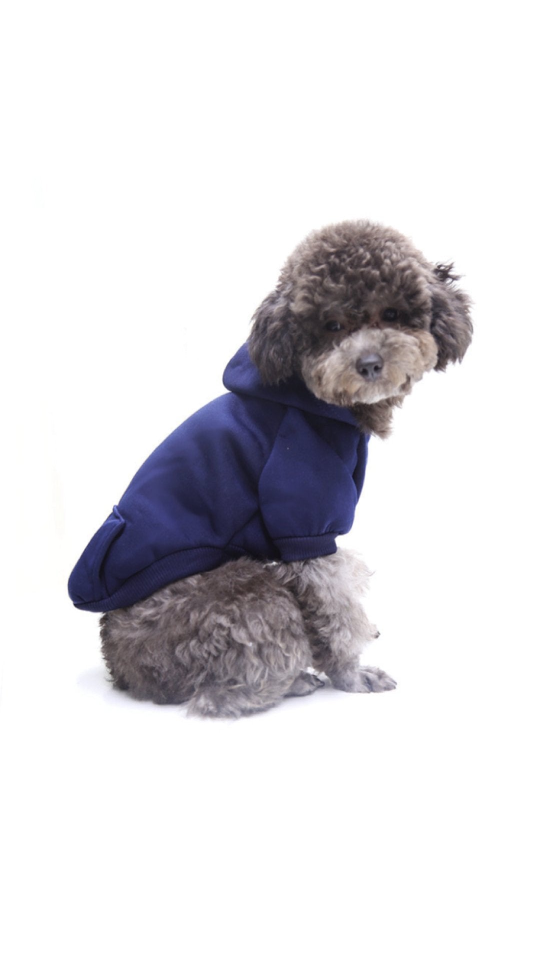 Gucu - Dog Hoodie - Sarman Fashion - Wholesale Clothing Fashion Brand for Men from Canada