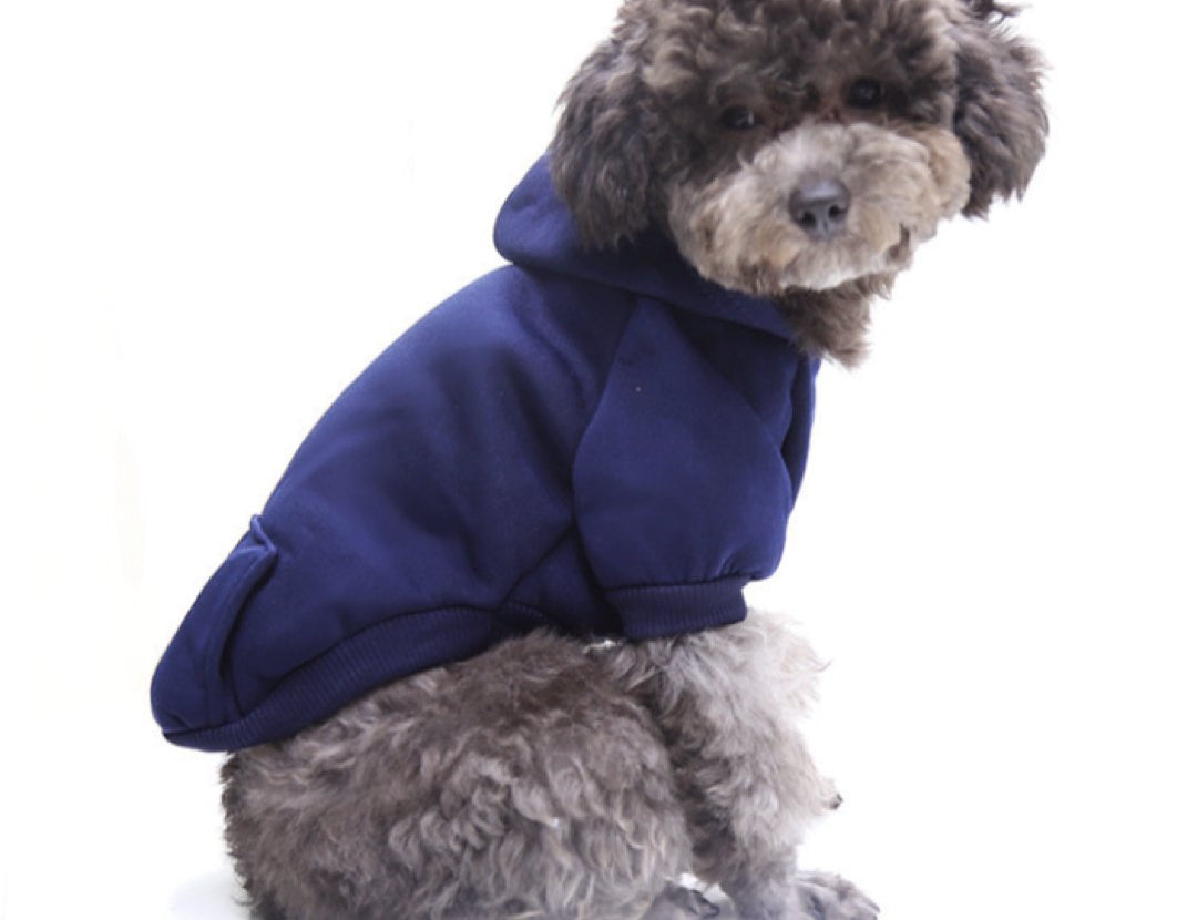 Gucu - Dog Hoodie - Sarman Fashion - Wholesale Clothing Fashion Brand for Men from Canada