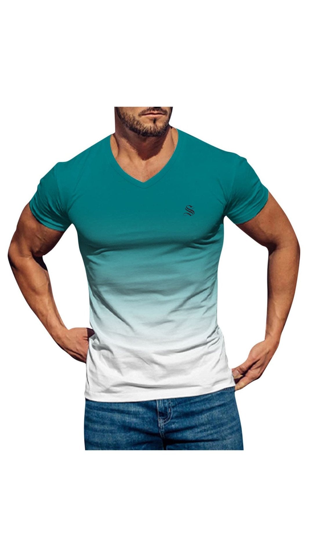 Lambad 2 - V - Neck T - Shirt for Men - Sarman Fashion - Wholesale Clothing Fashion Brand for Men from Canada