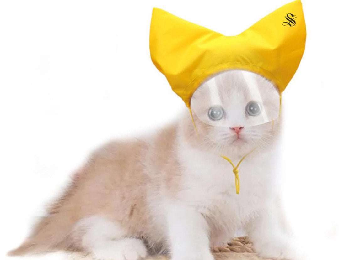 Shower cap for grooming cats, Pet shower cap, Gift for catlover - Sarman Fashion - Wholesale Clothing Fashion Brand for Men from Canada